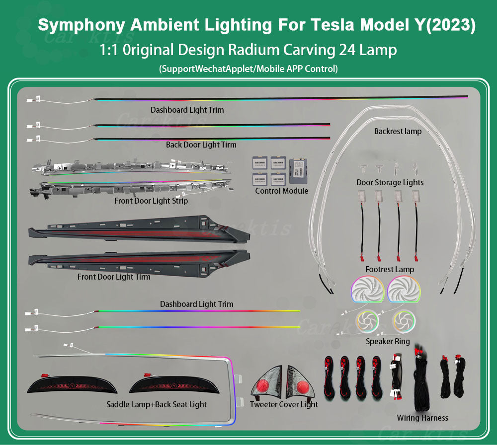 CarAktis Radium Carving Ambient Lighting Kit For Tesla Model Y 2023 LED Safety Assistance Systems