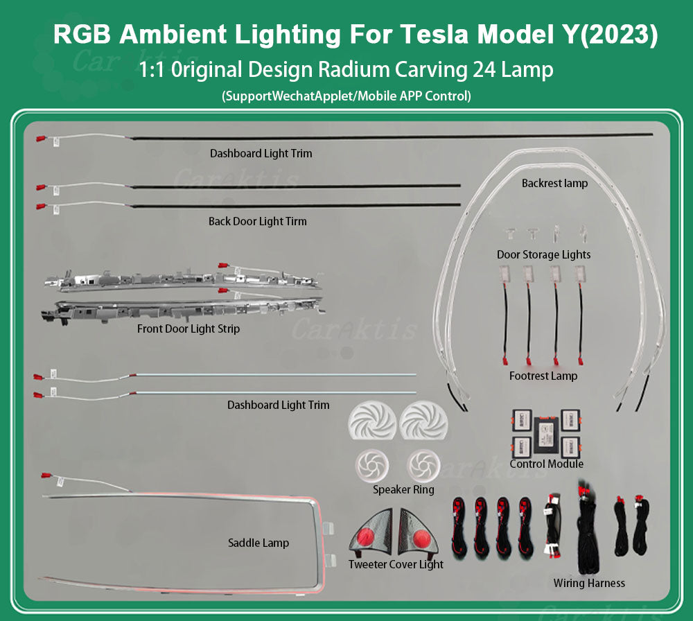 CarAktis Radium Carving Ambient Lighting Kit For Tesla Model Y 2023 LED Safety Assistance Systems