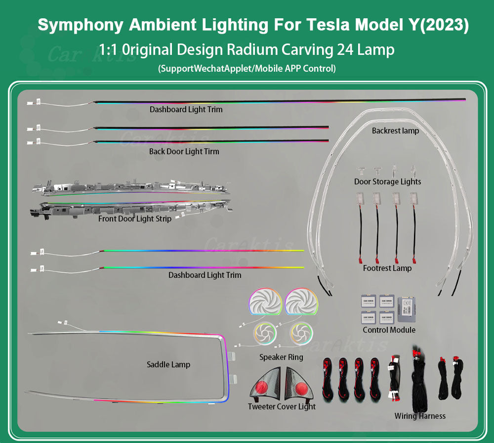 CarAktis Radium Carving Ambient Lighting Kit For Tesla Model Y 2023 LED Safety Assistance Systems