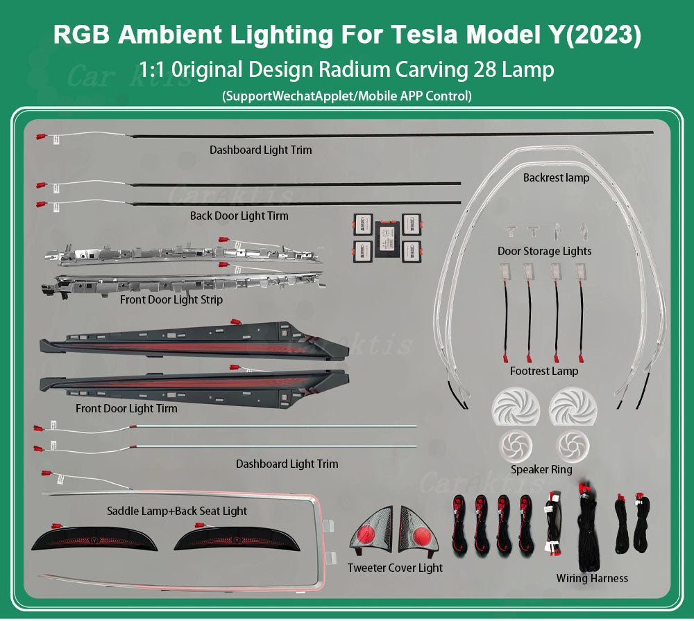 CarAktis Radium Carving Ambient Lighting Kit For Tesla Model Y 2023 LED Safety Assistance Systems
