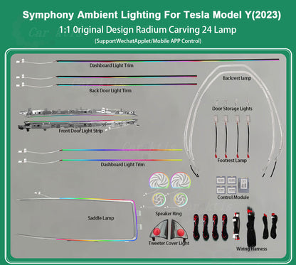CarAktis Radium Carving Ambient Lighting Kit For Tesla Model Y 2023 LED Safety Assistance Systems