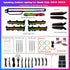 Complete Honda Civic 11th Gen dynamic-style ambient light kit from Caraktis, including LED strips, controllers, and plug-and-play harnesses.
