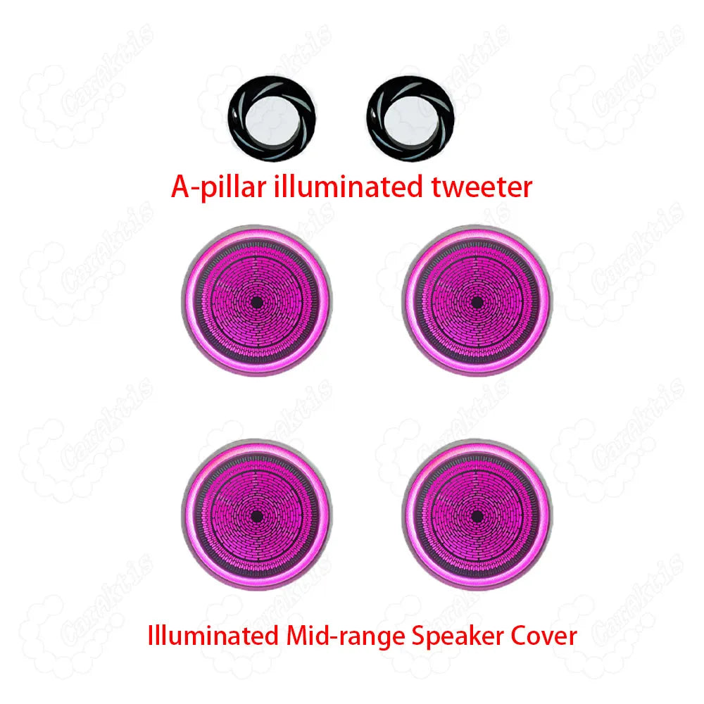 Ambient Lighting Kit for BMW X5 X6 F15 F16